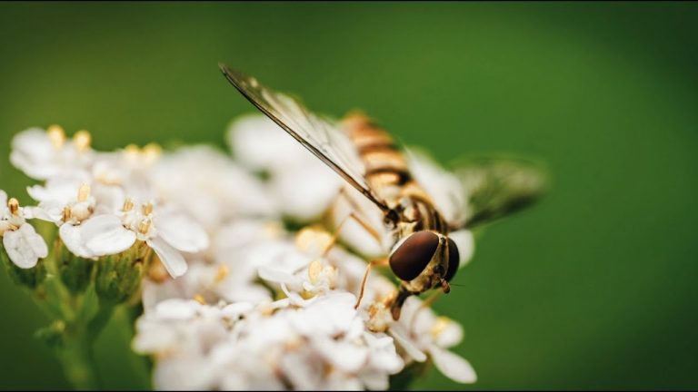 Todos podemos colaborar