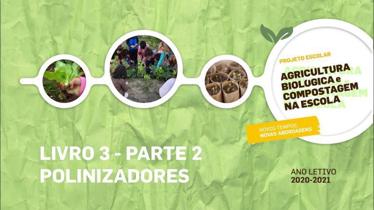 Polinizadores para Crianças
