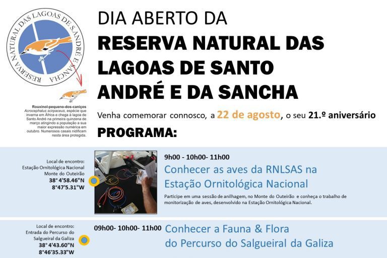 Aprender a contar borboletas