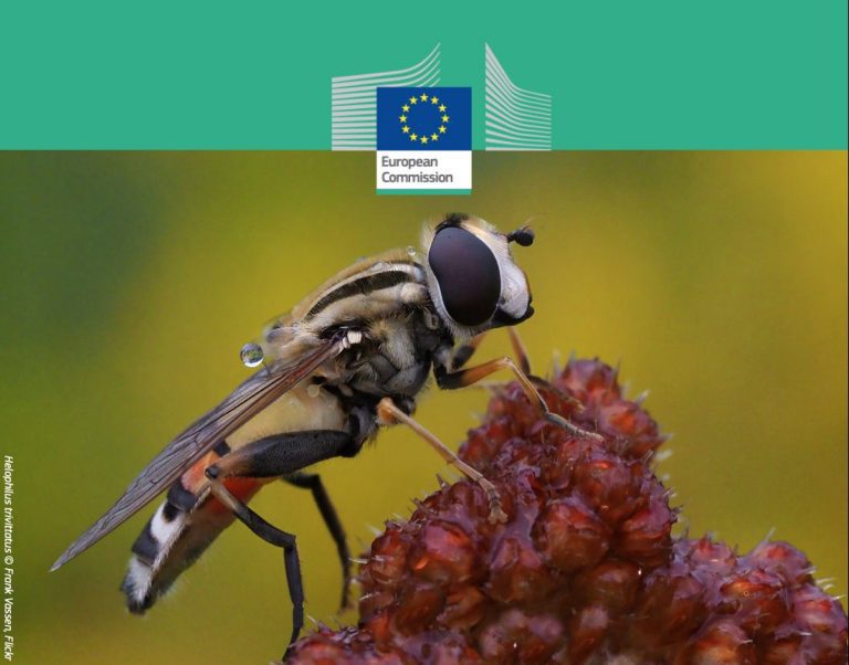 Sabia que as empresas também podem ajudar os polinizadores?