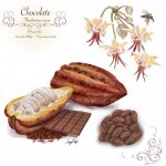 Gosta de chocolate? E de mosquitos?