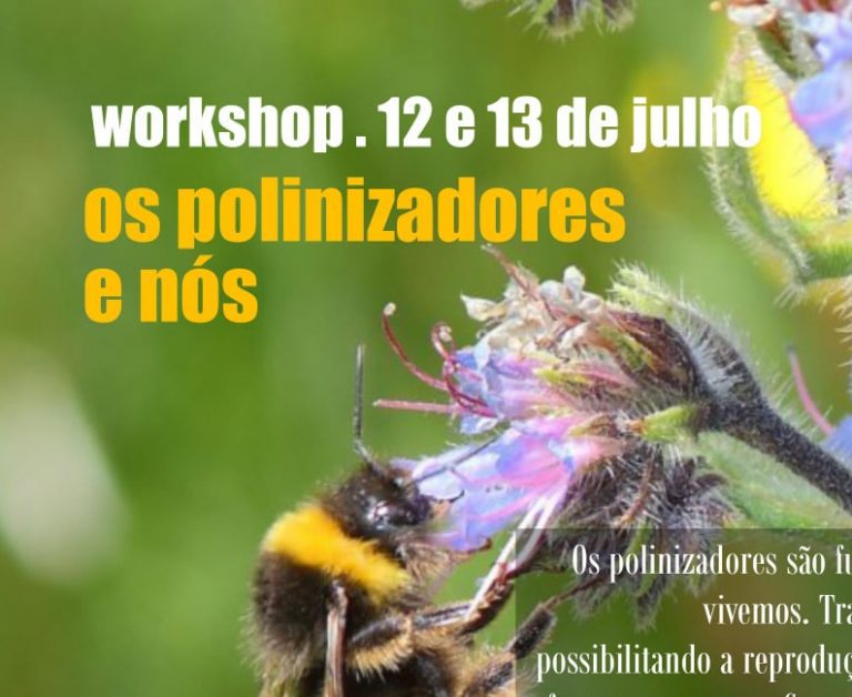 Os Polinizadores e Nós