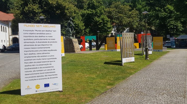 Polinizadores em destaque em Amarante!