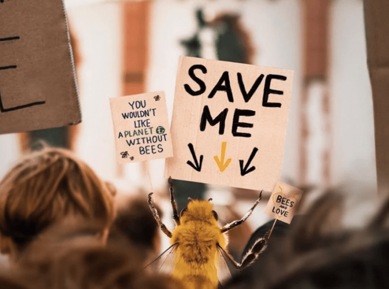 A primeira abelha influenciadora...!