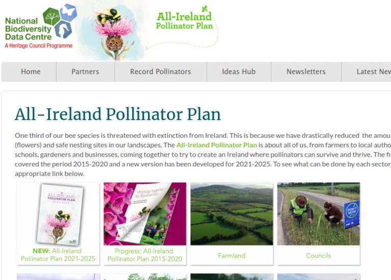 Ireland Polinator Plan