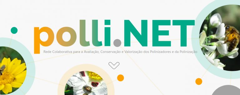 Polli.Net